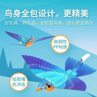 �h���¿�GoGoBird���[�h�����������B��ͯ��������w�����Y��