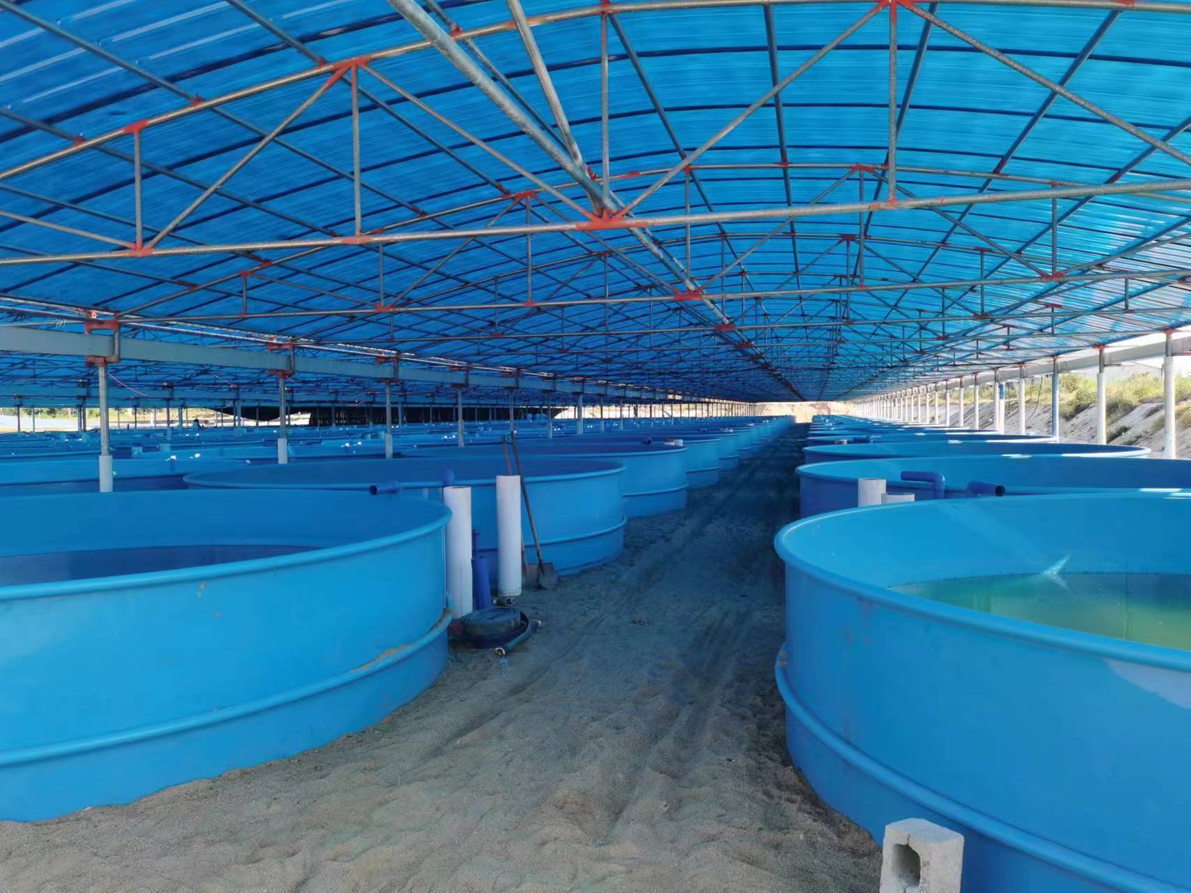 微信图片_202403011712351