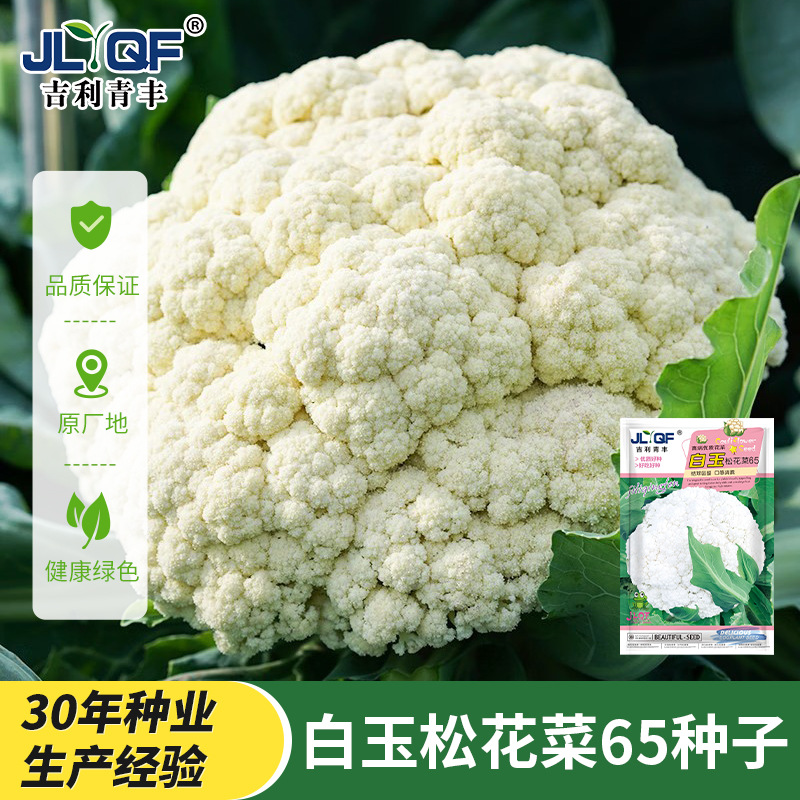 松花菜种子种籽秋后花菜菜花春季花椰菜苗孑秧四季蔬菜苗籽种