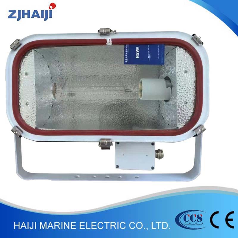 厂家直销 船用灯具 船用不锈钢投光灯 TG4户外照明灯投光