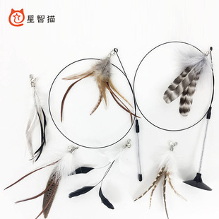 ����؈䓽z��ë��؈���L�U����Q�^����؈������ĥ����ҧ؈��Ʒ