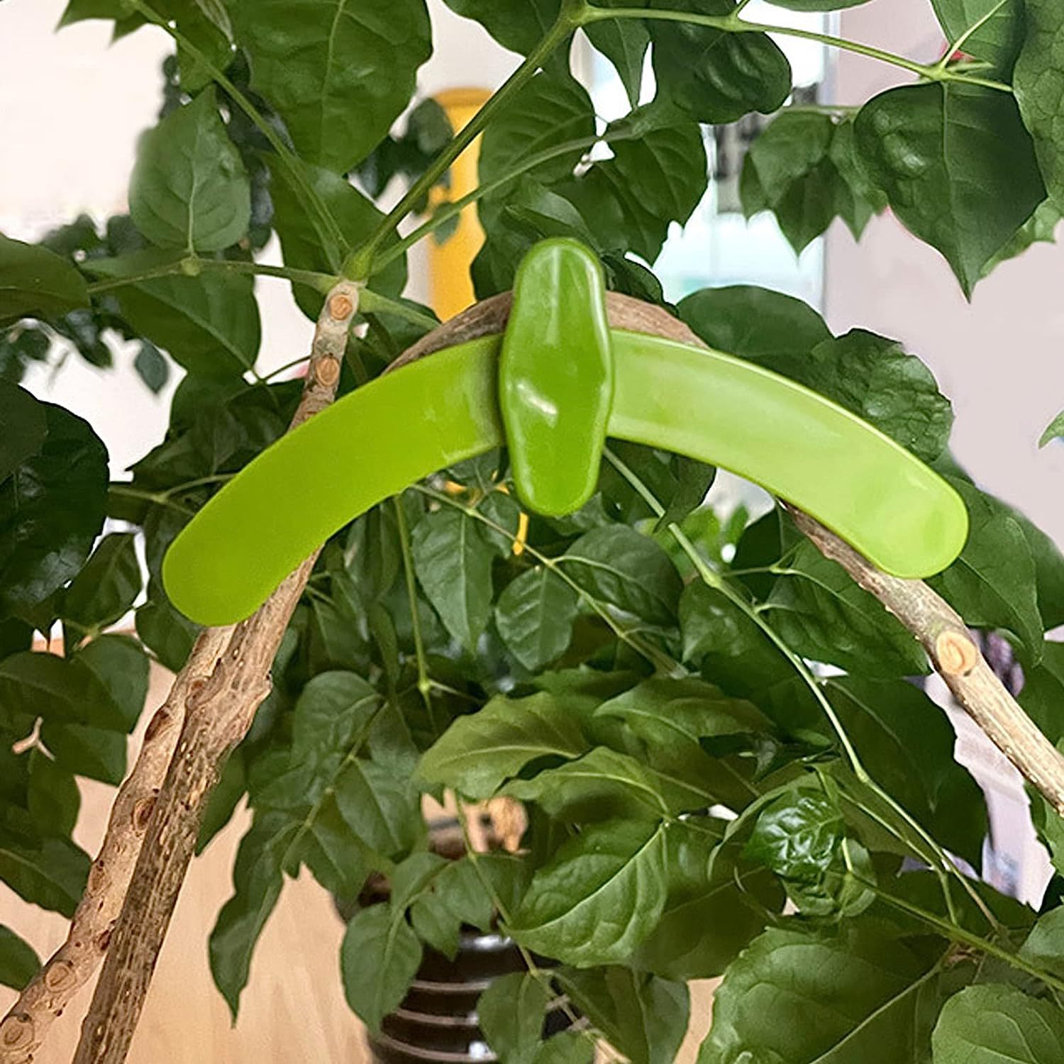 苹果拉枝定型神器新技术弯粗枝器樱树拿弯定型可调节的植物分支弯