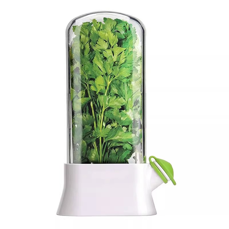 Caja de preservación de vegetales de vainilla transfronteriza anti-compresión preservación creativa cilantro preservación de tazas fabricantes al por mayor hechos en casa