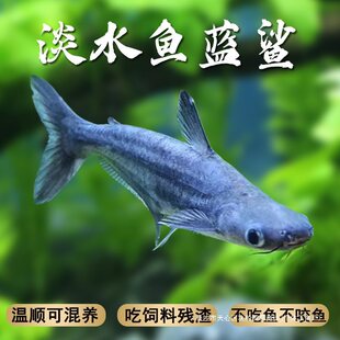 �O���мs�{���^�p�~�Ꭷ�~Ⱥ���~���������~���~���~��ˮ���~���~