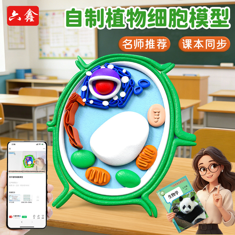Homemade Cell Models for Elementary School Science DIY Crafts, Animal and Plant Cell Models for Middle and High School Teaching Aids Homemade Cell Models for Elementary School Science DIY Crafts, Animal and Plant Cell Models for Middle and High School Teaching Aids