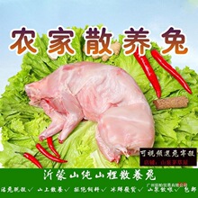 �������r��ֻ�F���r������������r��ɢ�B��ձ��rȥ�^���]���uͨ