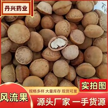 风流果中药材批发广西阴阳子双肾子男士养生泡酒料代发散装风流果