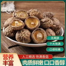 ���㹽��؛��؛������؛С�㹽�I�B�Ҝ��خa�S��ֱ�l500g�ؔ�؛Դ