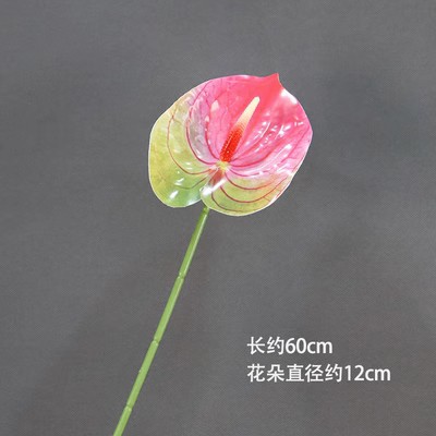 No. 2 Impresión 3D de palma roja