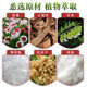 Factory wholesale jiufutang wart flat skin bottle paste meat Thorn corns eye removing cream ointment points cream
