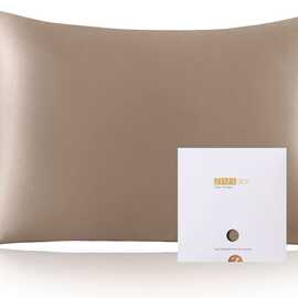 桑蚕丝枕套,适合头发和皮肤健康,柔软光滑,双面优质 6A 级丝绸,60