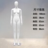 直手直腿（小胸款）
