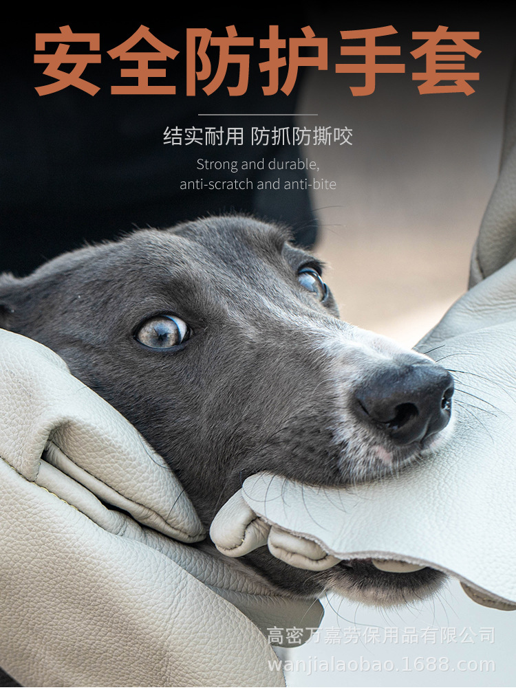 长图_01.jpg