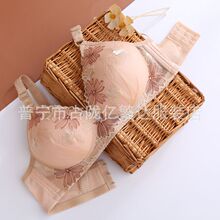 �羳2025���¿�̽��Ը��{��������Ů�o�Ȧ�۔n�������l