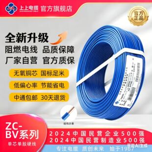 ���� BV ����늾� �͉���|���S���،��Æ�оӲ���·���|������