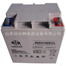 ˫��Ǧ������6-GFM-24ͨѶ����12V24Ahȫ�°���6-GFM-24