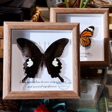 实木皮立体中空蝴蝶植物果实干花标本手工装裱DIY相框摆件