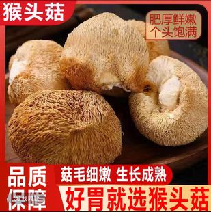 �����خa ��؛���^����؛500g�oѬ��ԭ�a�ذl؛ ֧��һ�����l���l