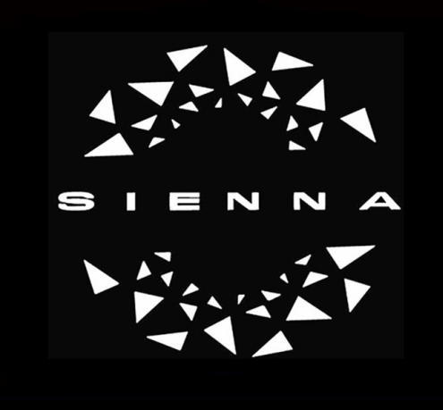 Aplicable a la luz de bienvenida de Toyota Senna Grivia Senna puerta láser no desvanece lámpara de proyección de puerta