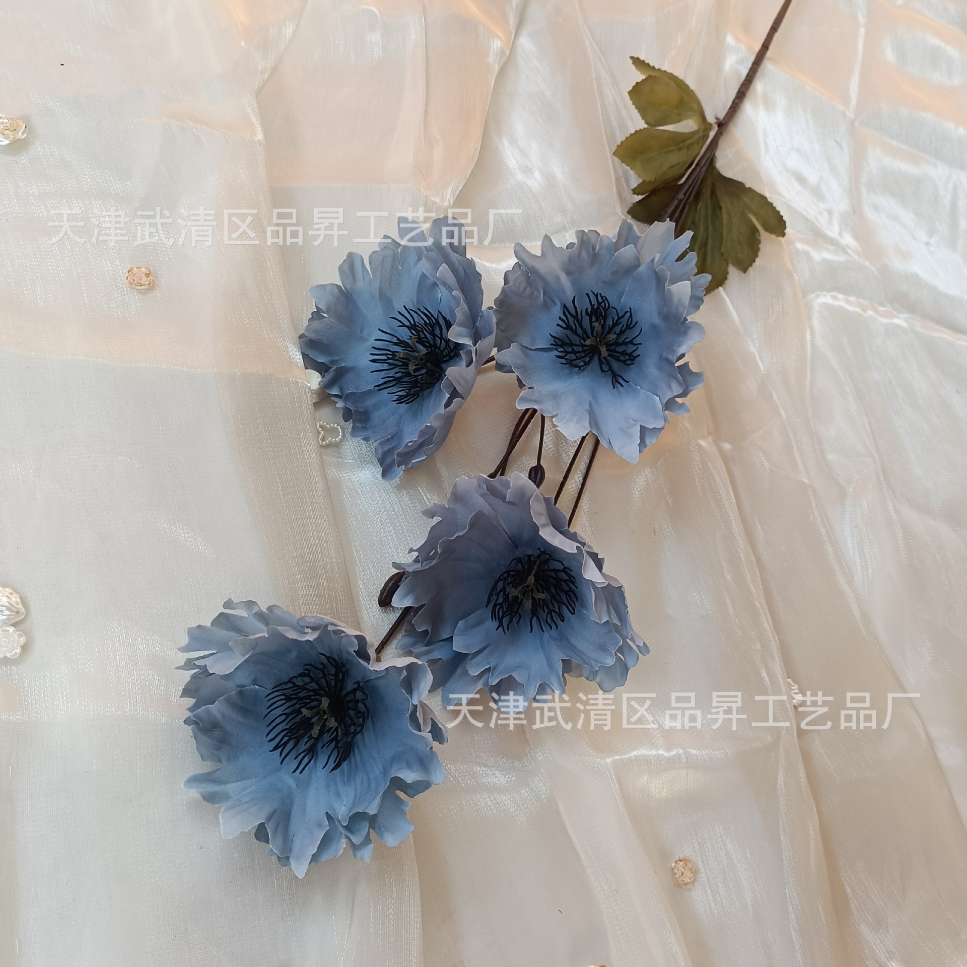헤이즈 블루