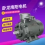 卧龙南阳低压复合电动机