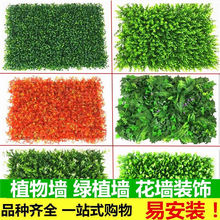 ֲb҃ȱϼٲƤT̨T^ƺGֲ