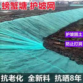 加厚网布鱼塘护坡网网皮沙网家禽围网网鱼网螃蟹网10目网网格防水