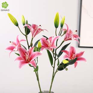 ��c3DС�ٺϷ��滨 �Ĕz�����b��ҾӼٻ� ����6�^��ˮ�ٺϻ�