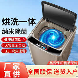 全自动家用小型大容量波轮宿舍洗脱一体出租房