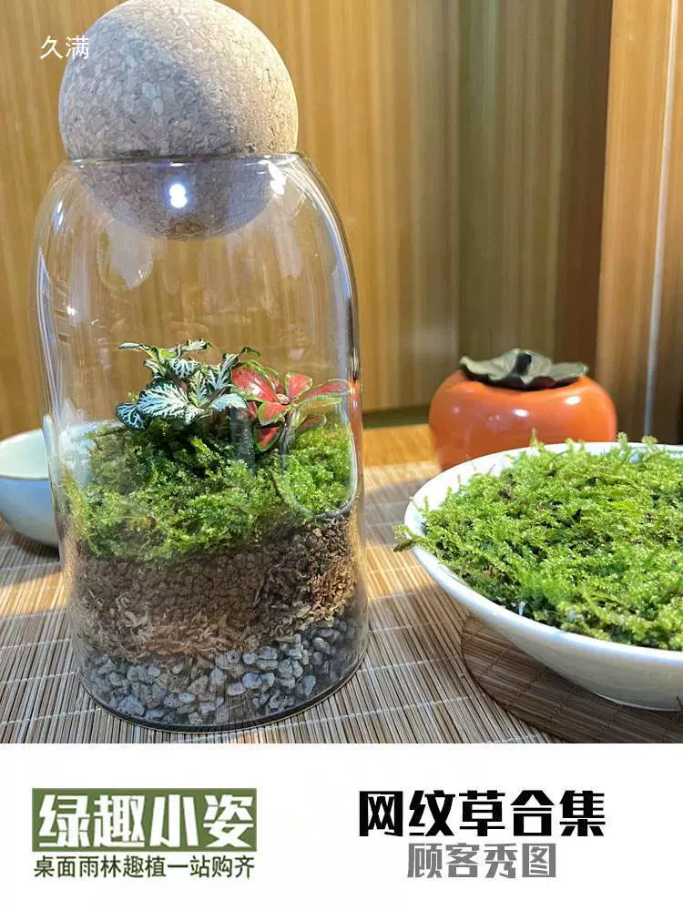 Сетка трава мох микро ландшафт, бутылка DIY ландшафт, вода и земля, дождевой лес, творческие цветные листья, мини-растения перед баком