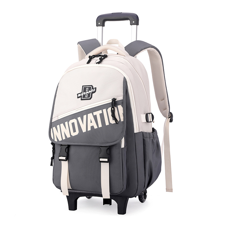 Nuevas mochilas de pescado natural mayorista para estudiantes de alta capacidad para hombres y mujeres mochilas de tracción transfronterizas de secundaria