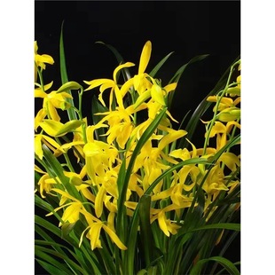 ��Դ�ļ����m�����ޥ�m�S��С��ͯ����������B�҃ȾGֲ������