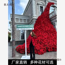 õ�廨�ٲ��ٻ������ٲ��������W�t��õ�廨��������������̫��
