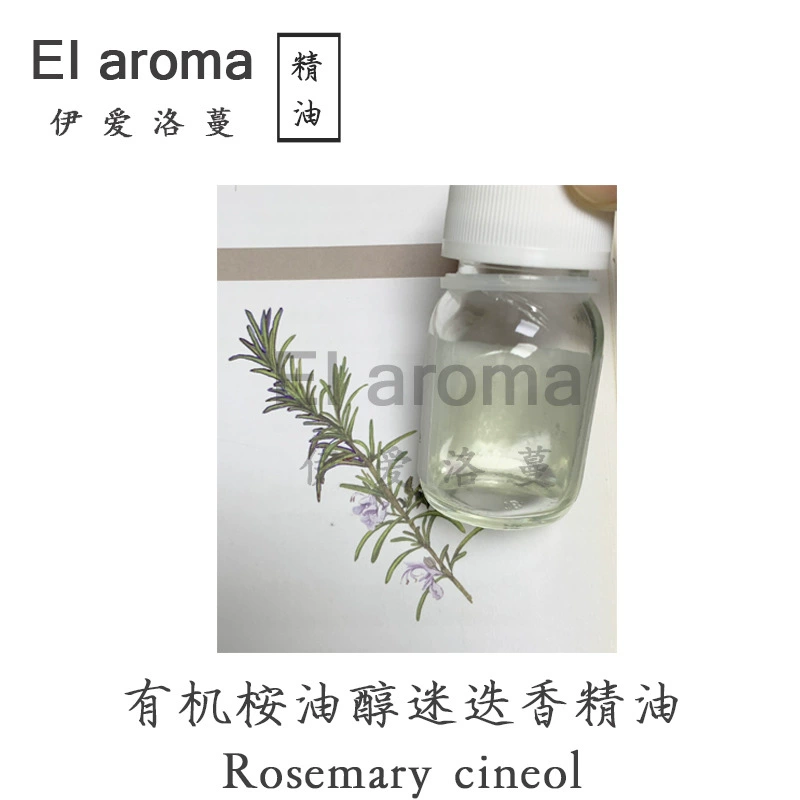 Марокканское органическое эфирное масло розмарина эвкалипта, ароматерапия, масло листьев розмарина, 10 мл, минимальный заказ