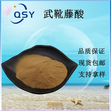 武靴藤酸25%匙羹藤提取物匙羹藤酸 90045-47-9武靴藤提取物 包邮