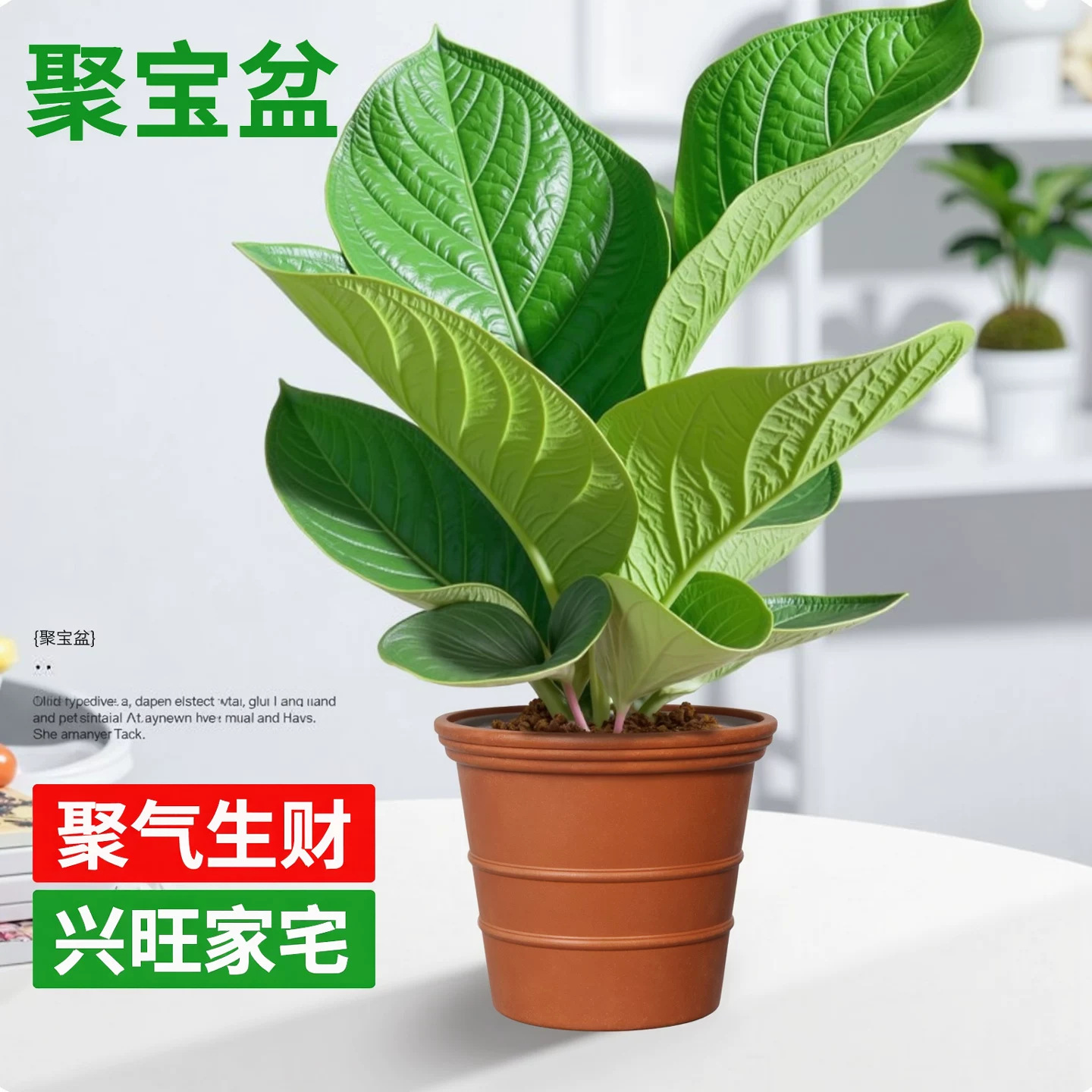 【大盆】聚宝盆+仿陶花盆