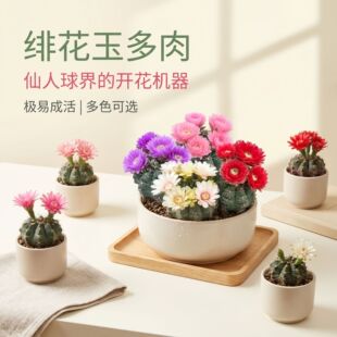 �p�������_�����������ֲ���҃��_���Gֲ���B���̨�M���������^