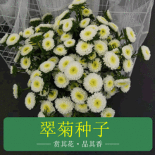 rлN շN q ȾջļݷNl