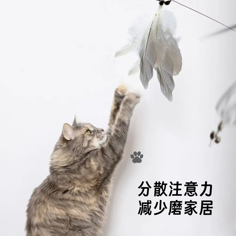 微信图片_20241127144218