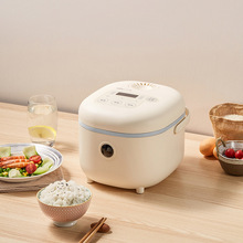 С�����Ҽ���DFB-B20A1����ȫ�ԄӶ๦����������2L����