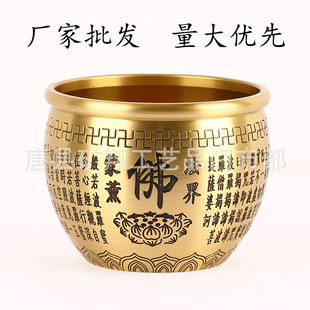 �S�����l �S�~���� ���׸� �����M���~�� �ی��� �Ҿӹ�ˇƷ �[��