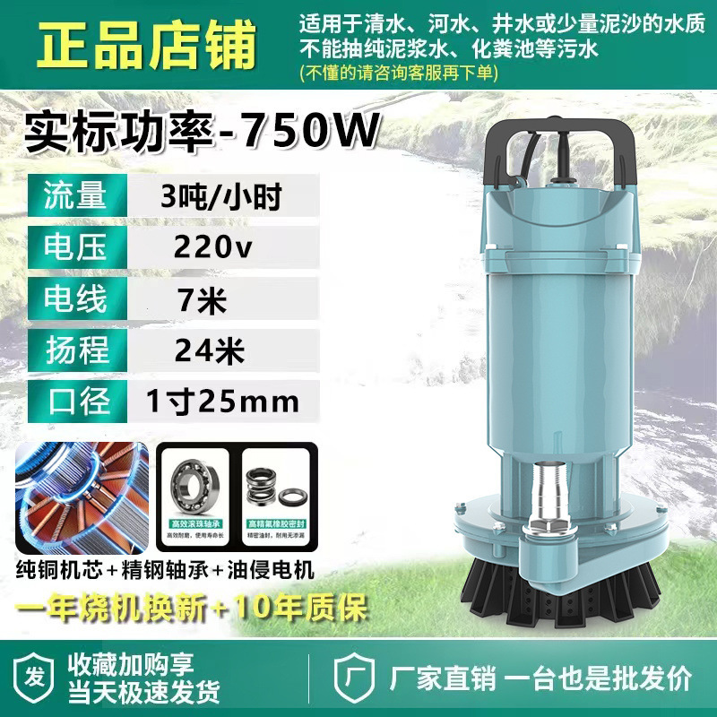 Shanghai auténtica bomba sumergible 220V bomba de agua de gran calibre 3 pulgadas 4 pulgadas sin escobillas de alto flujo de elevación bomba de agua