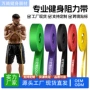 健身高弹阻力辅助tpe