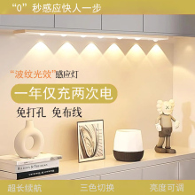 led灯条带充电式展示柜酒柜自粘玄关衣柜橱柜感应灯感应三色变光