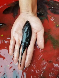 �Ї����~�{��Խ�ڻ��w��ˮС���^�p�~���B�ͻᘴ�ڲ����_�~