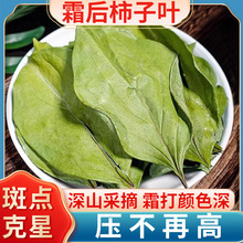柿子叶茶霜打过的干柿子叶树叶有什么功效与作用血压茶真货好货