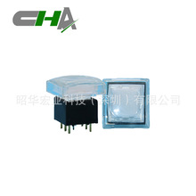 ���lҕ�l̎��������̨21*21�������I�_�P/�����_�P ���_���o