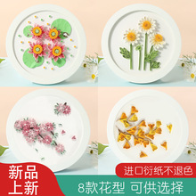圆形衍纸相框材料包基础工具套装圆形衍纸初学者礼物厂家批发礼品