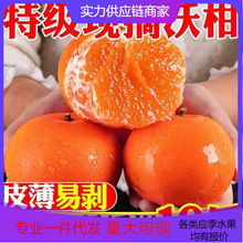 【活动款】正宗云南沃柑新鲜水果现摘整箱对接电商直播源头直发