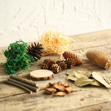 l͹ɭָɻ Ȼɹ~֦ յ@Ĕzߌؐ